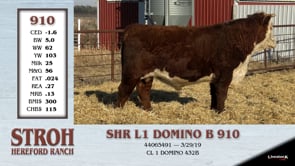 Lot #910 - SHR L1 DOMINO B 910
