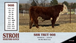 Lot #908 - SHR TRUST 908G