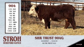 Lot #904 - SHR TRUST 904G