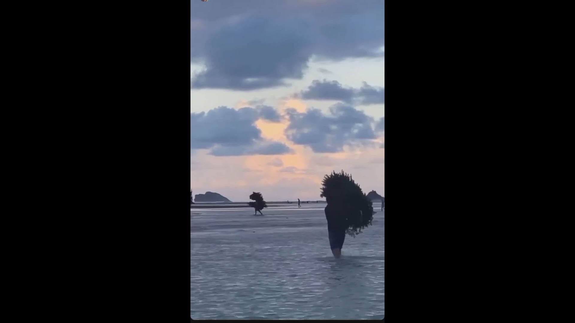 Kaneohe Sandbar Christmas Tree Burning on Vimeo
