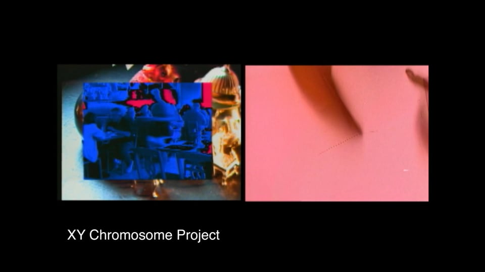 XY Chromosome Project