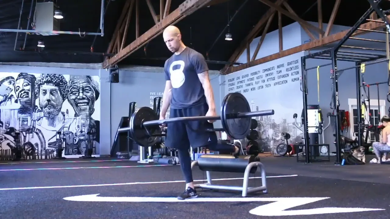 MoveStrong Hinge Handle Functional Trap Bar - NOW AVAILABLE