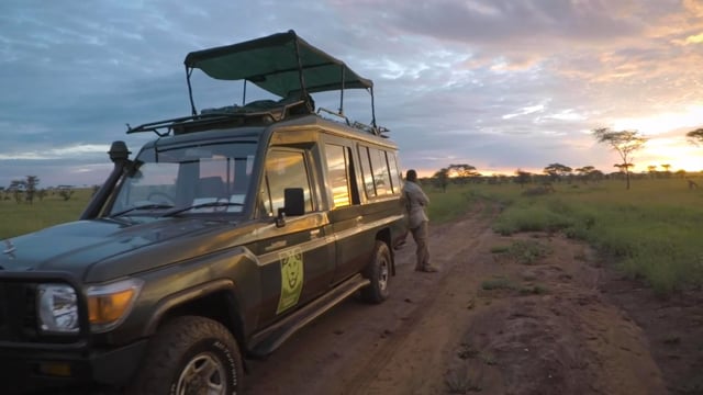 land rover on safari