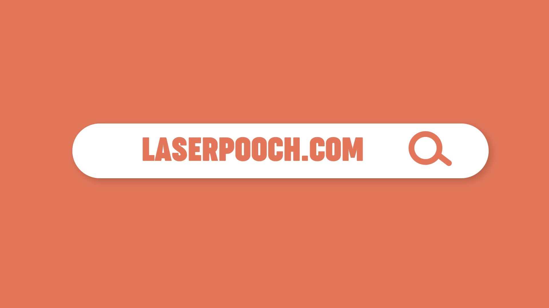 LASERPOOCH Instructional Video