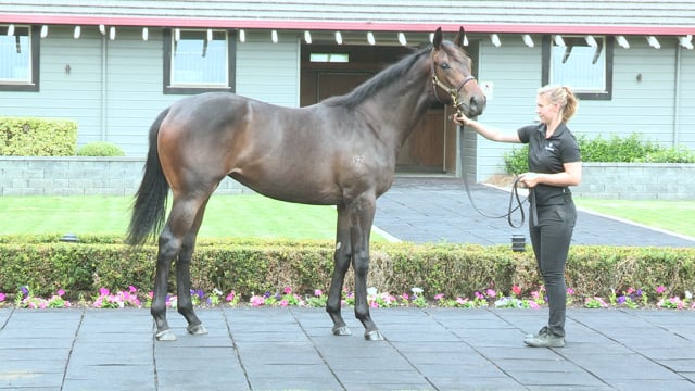 Lot 562