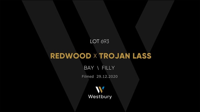 Lot 693