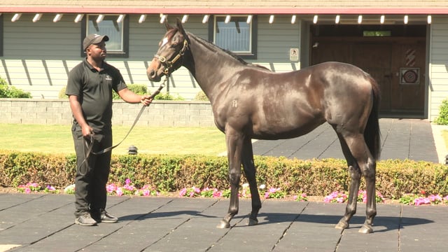Lot 768