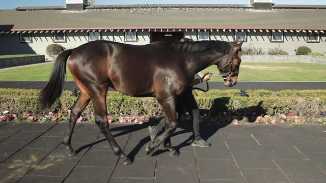 Lot 625