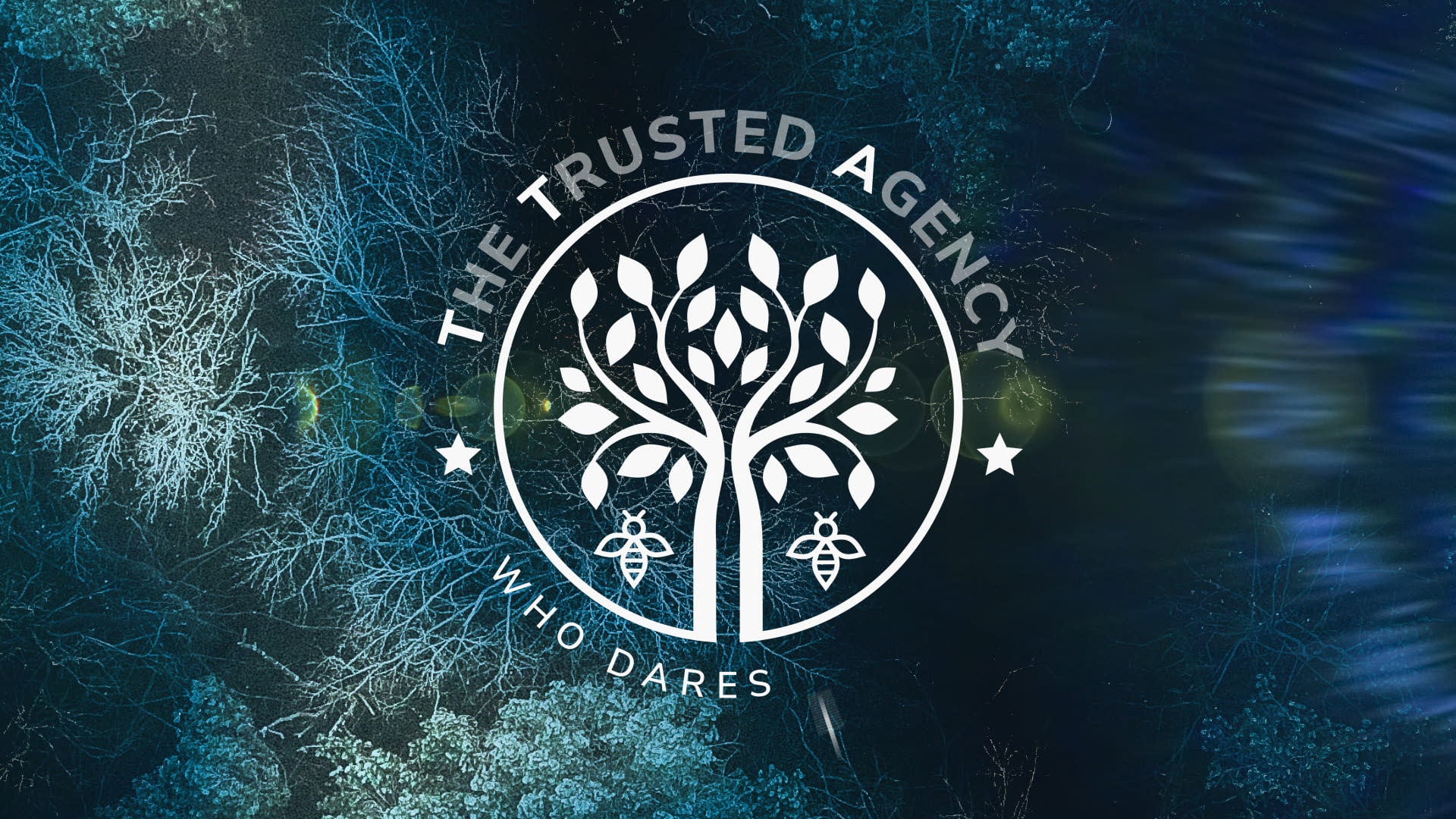 TTA (The Trusted Agency) - Logo Reveal