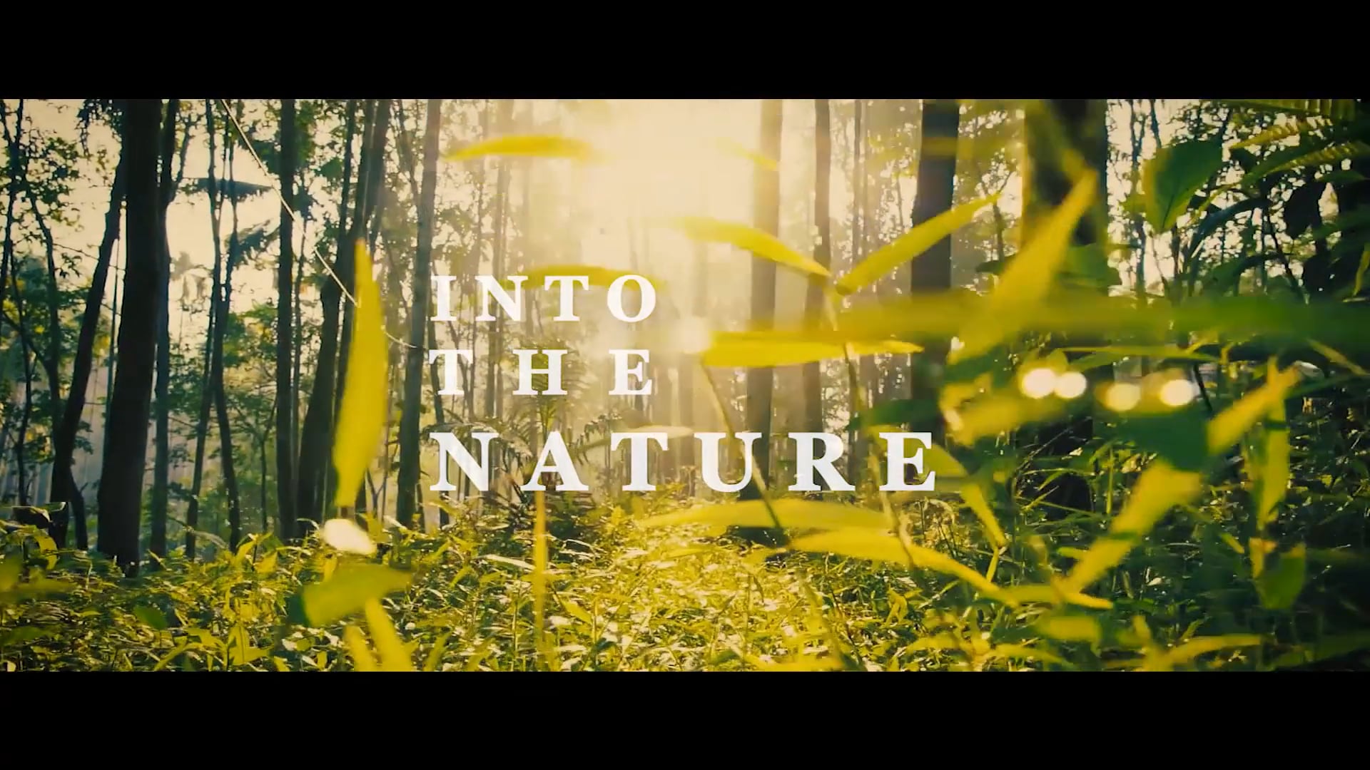 Into the Nature l Nature Documentary