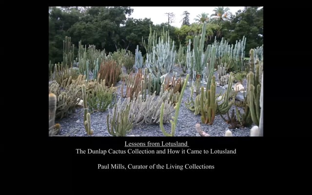 The Dunlap Cactus Collection and How it Came to Lotusland