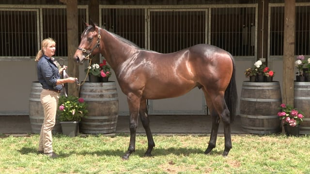 Lot 812
