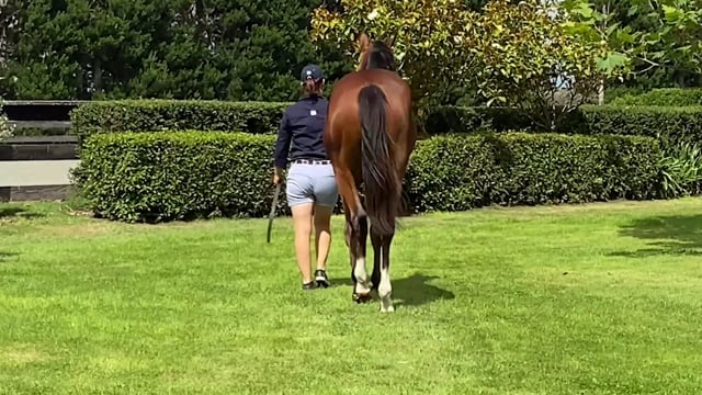 Lot 162