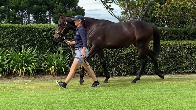 Lot 439