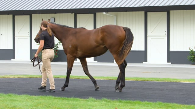 Lot 478