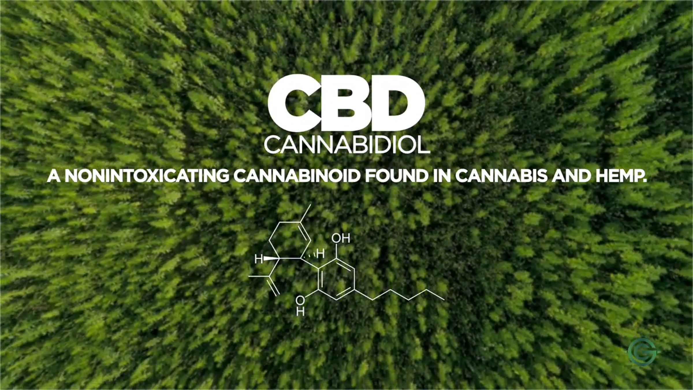 Why CBD?