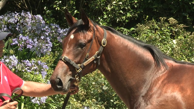 Lot 762
