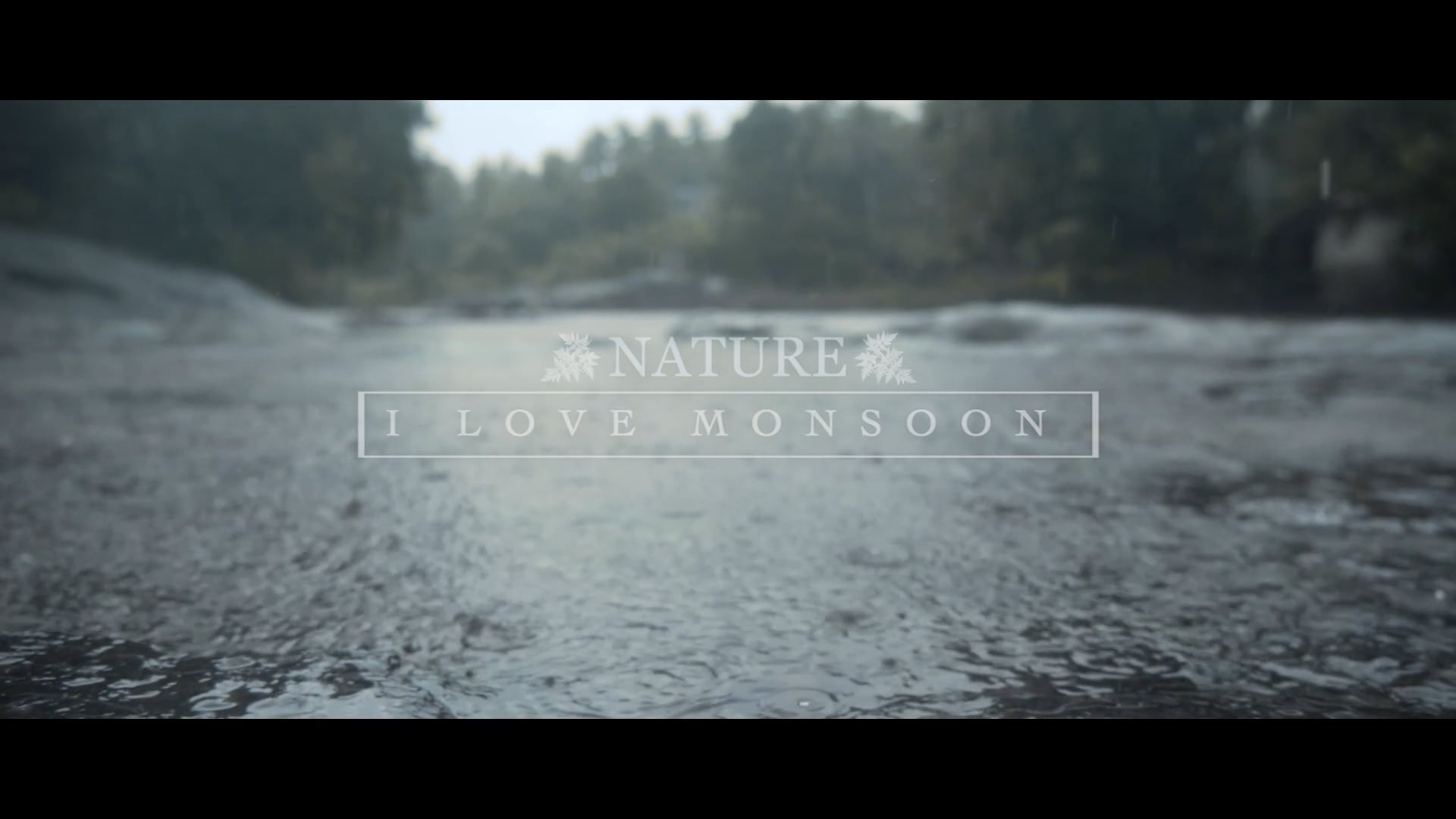 Monsoon Vibes l Nature Documentary