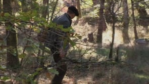Julien dans les arbres