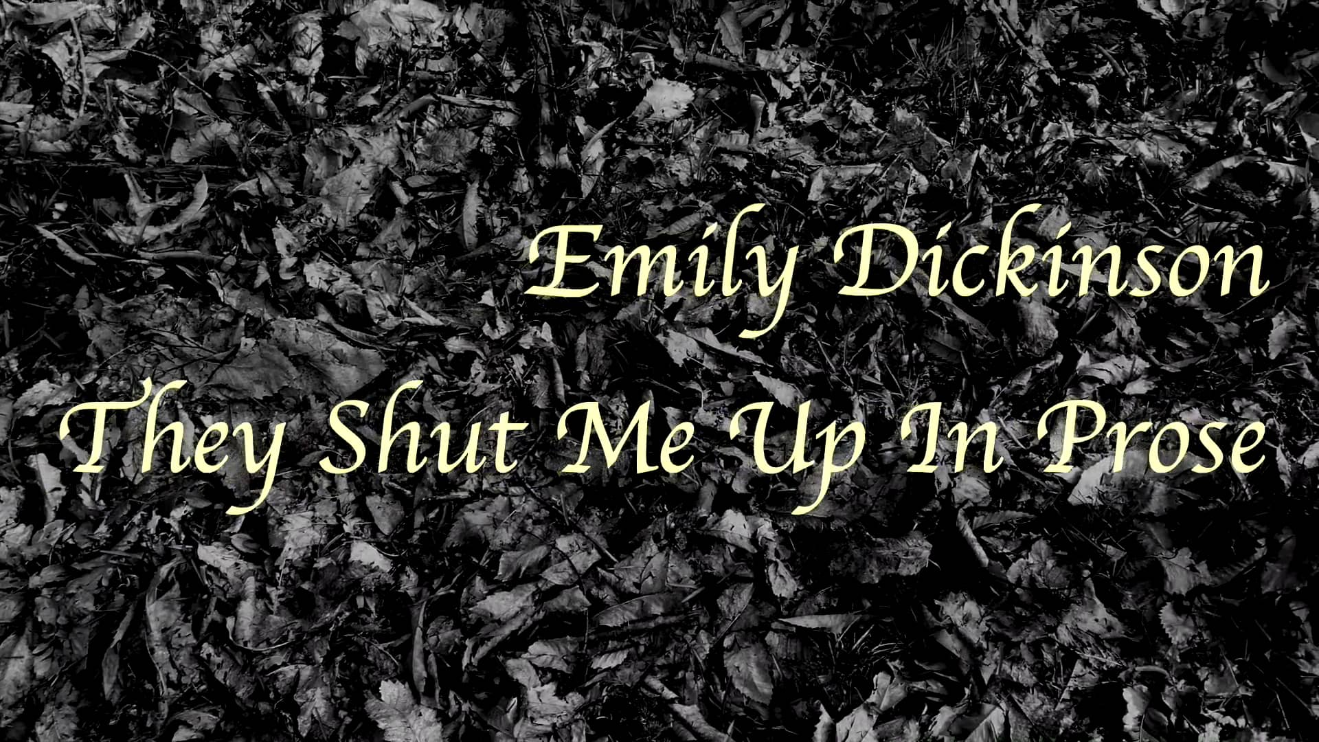 they-shut-me-up-in-prose-yellow-note-ft-fenella-fudge-poem-by-emily