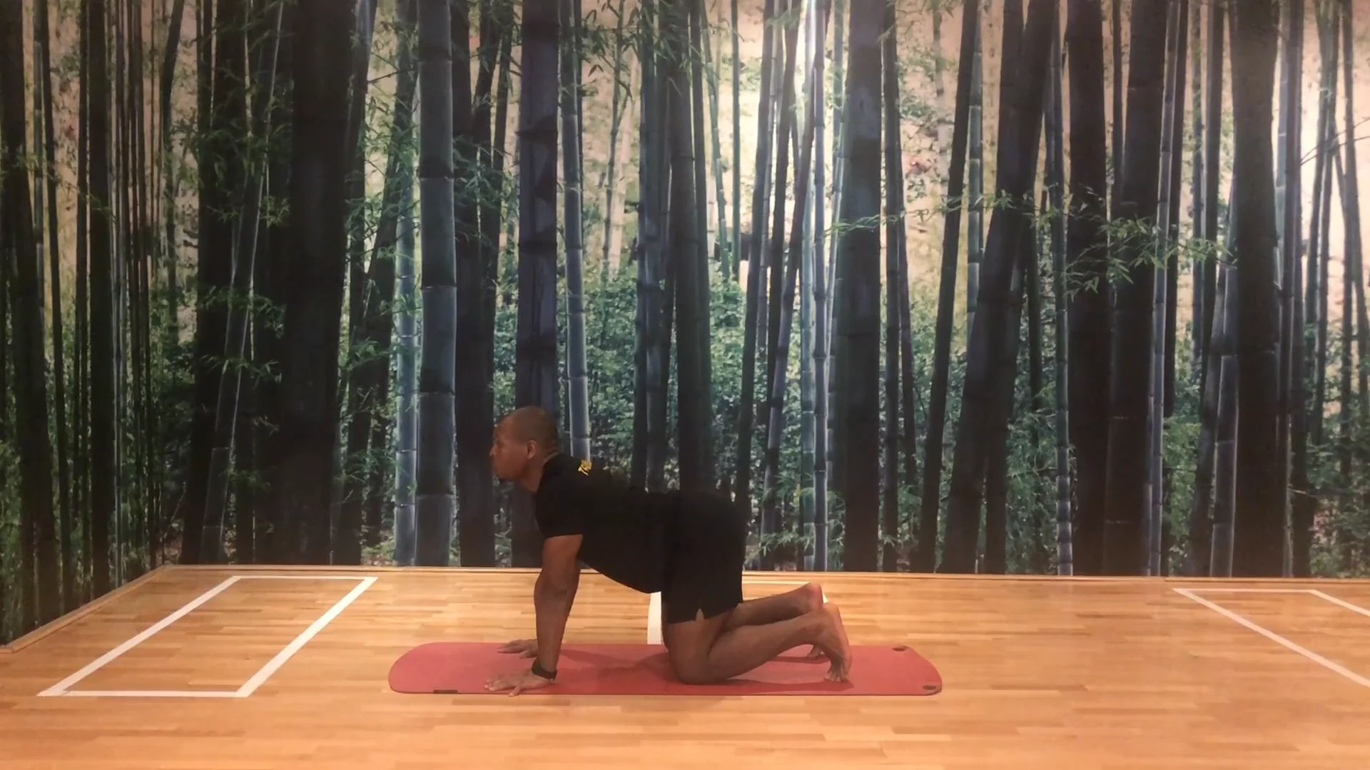 Yoga Challenge with Lewis - Day 1