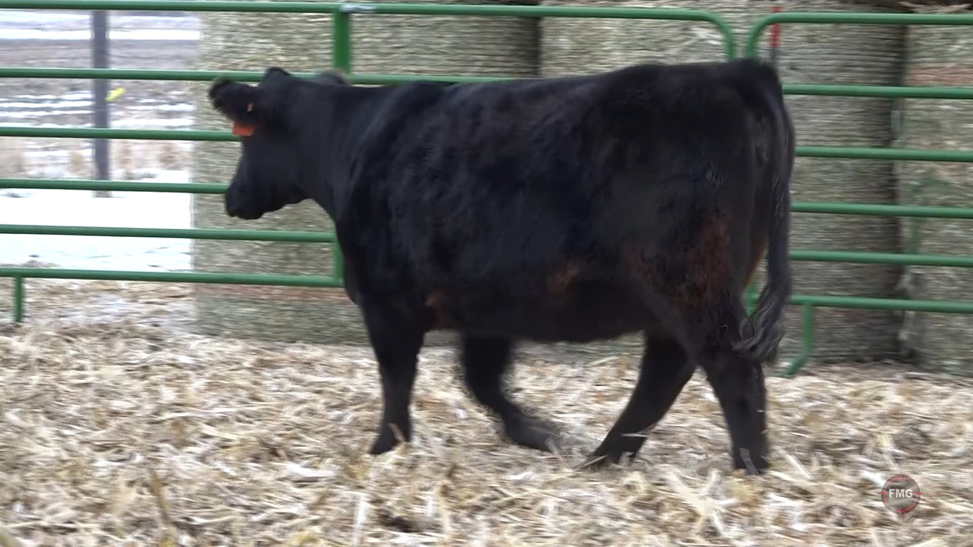 Jan 2021 Sullivan Ranches Tag 98G on Vimeo