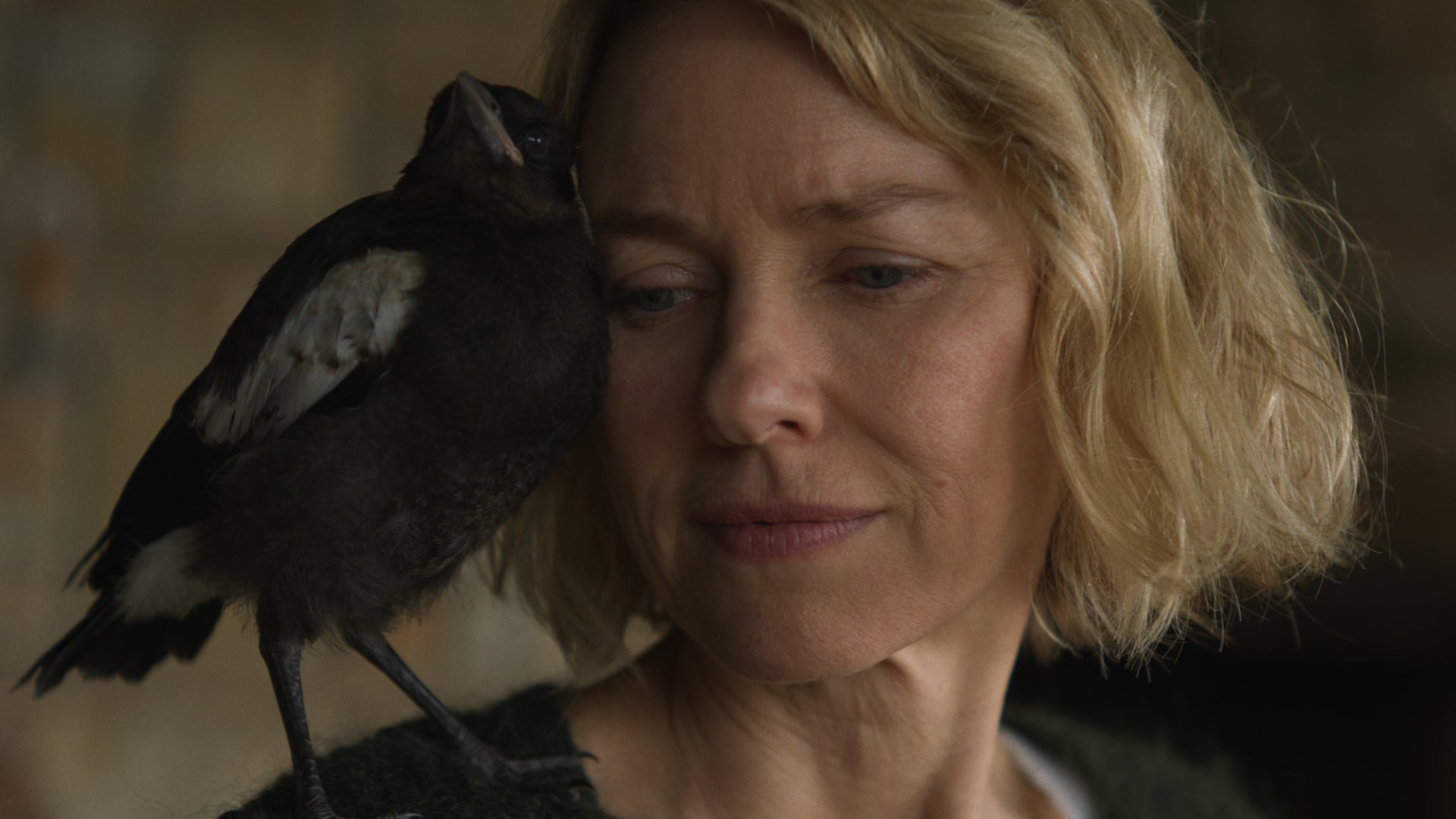 Penguin Bloom - Netflix Trailer