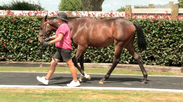 Lot 493