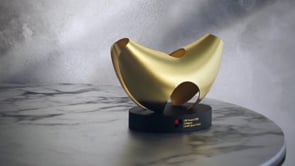 Trophy Design for Excellence by MSH Atelier