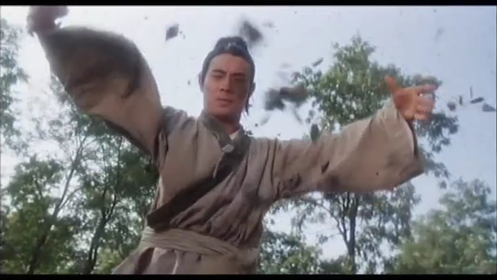 Les préceptes du Tai Chi dans Tai Chi Master