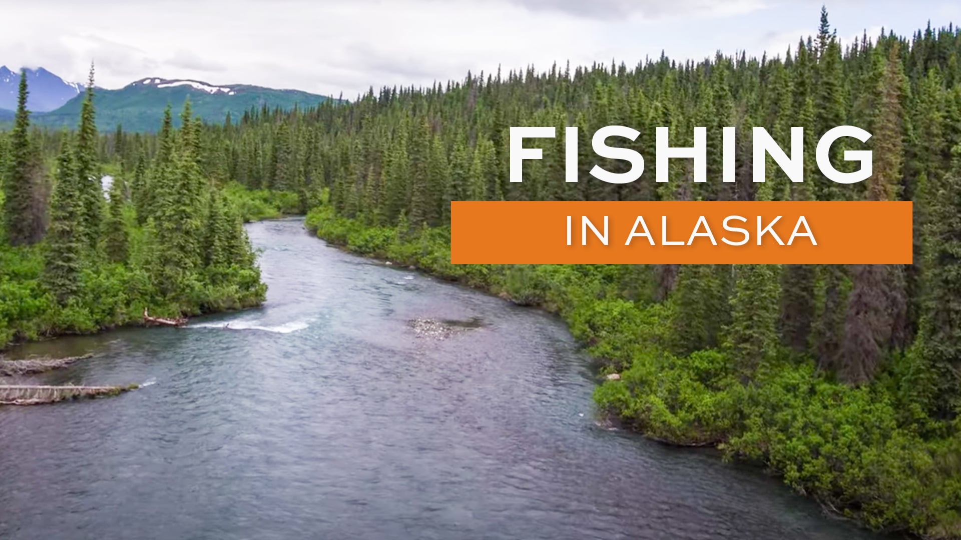 Alaska Fishing: Seldovia Roadside Activities - Alaska Outdoors