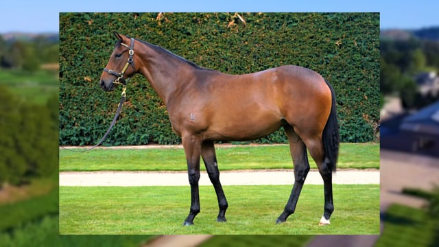 Lot 384