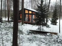 Дома у леса зима