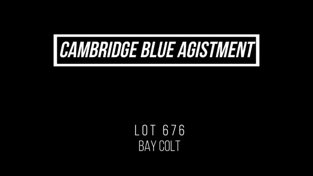 Lot 676