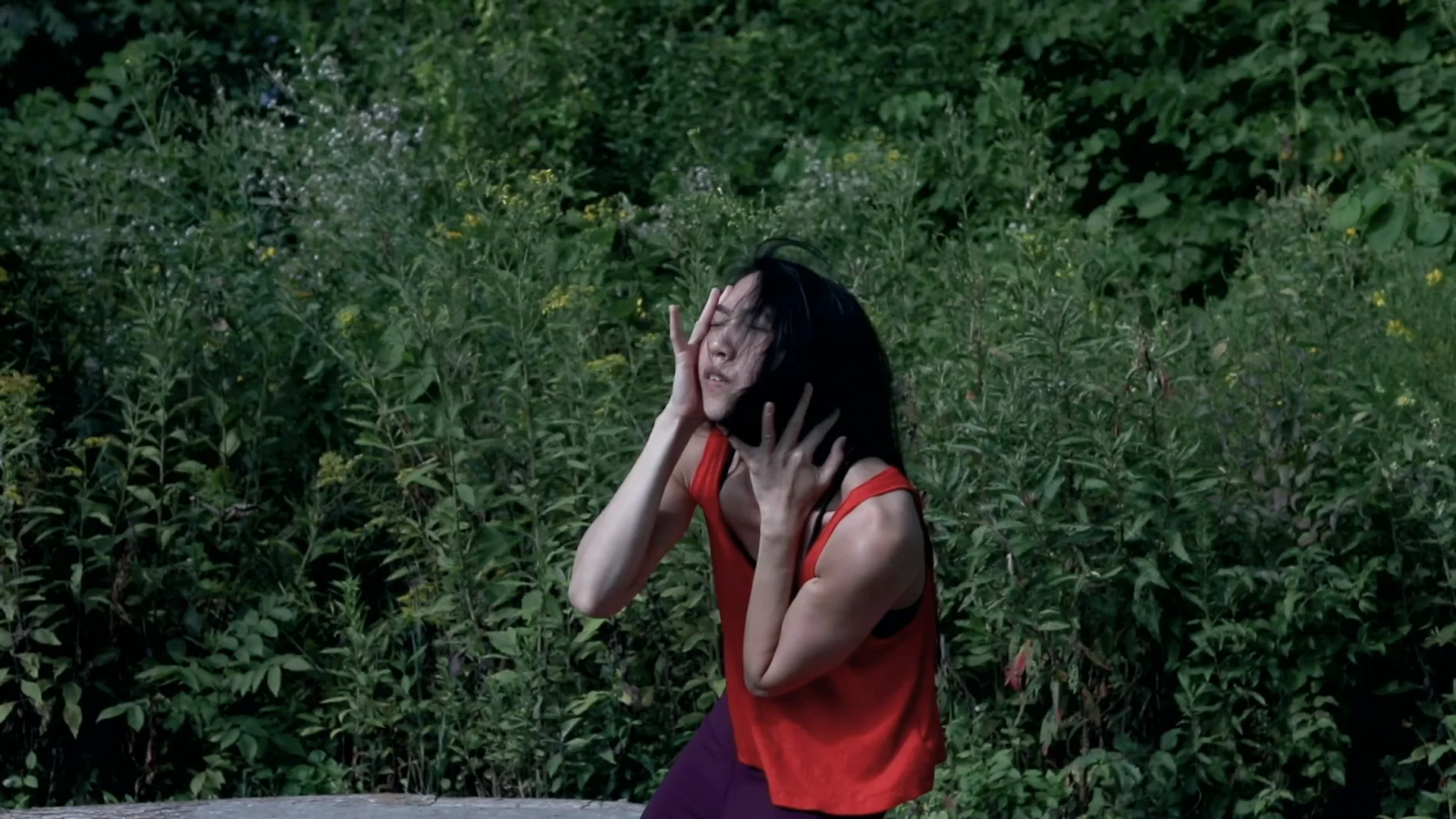 Pause on Vimeo