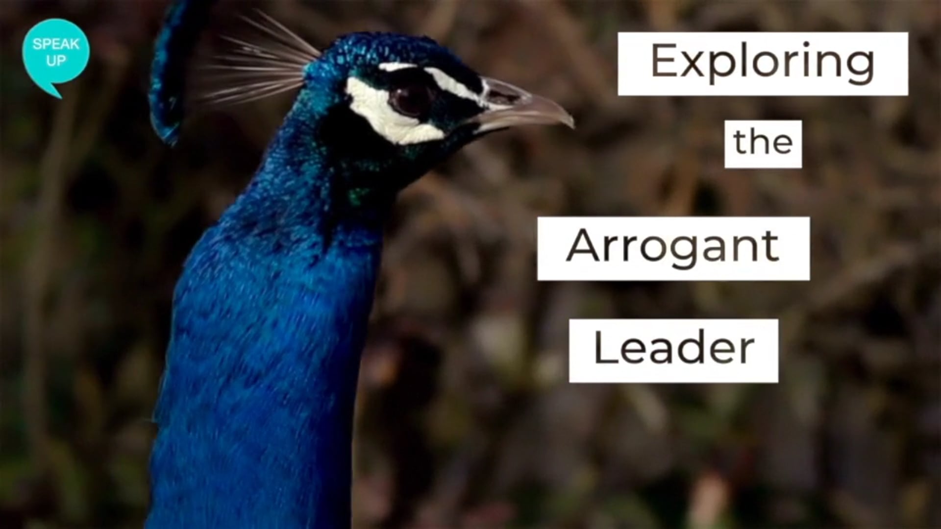 Identify Fear Patterns that Create Toxic Behaviours:  The Arrogant Leader