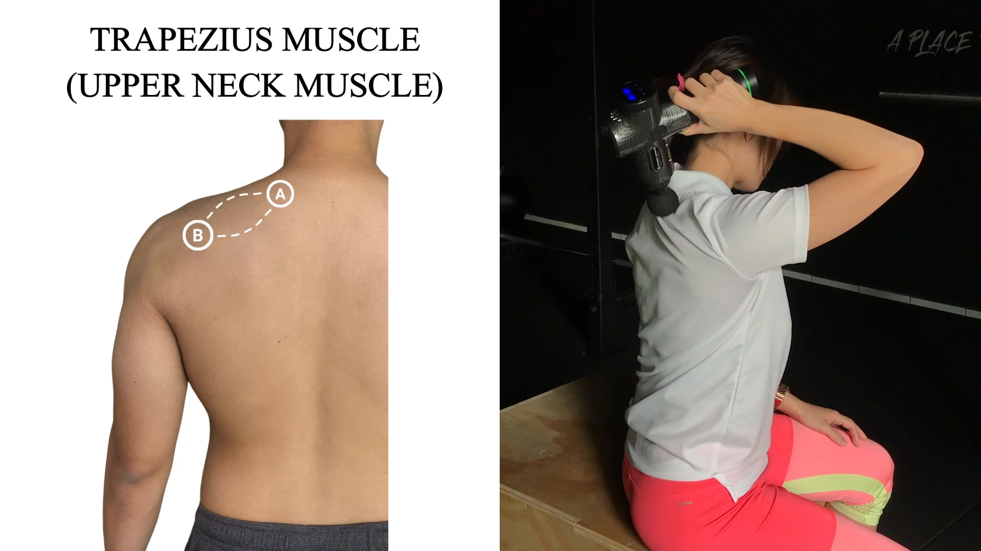 Massage Gun the Upper Trapezius 