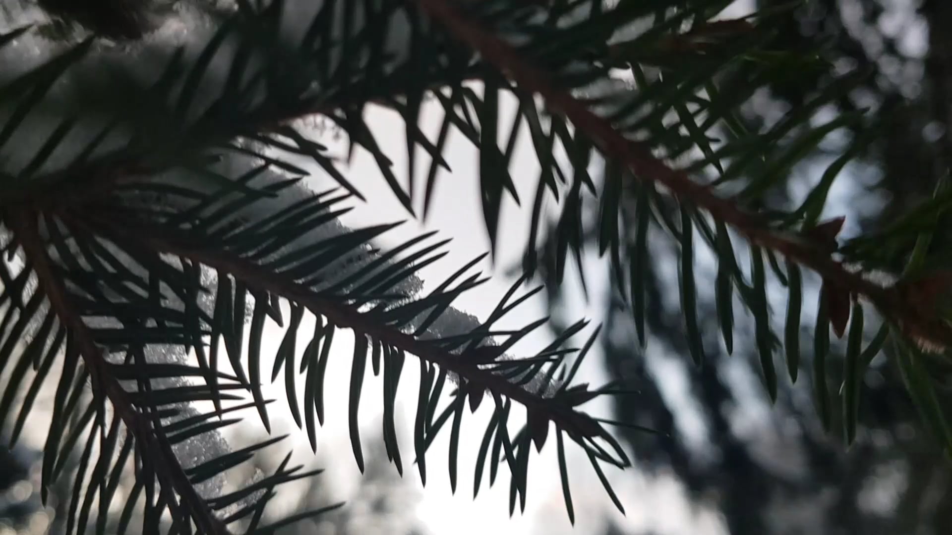 'Morfar' in 432 Hz - Composed by Patrik Tibell