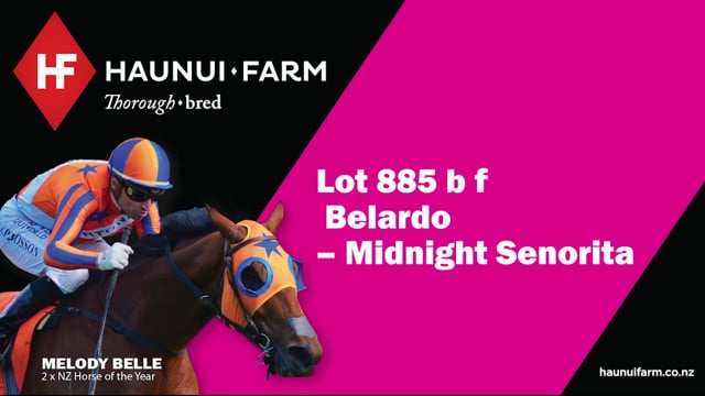 Lot 885