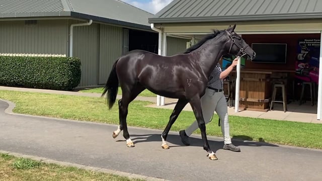 Lot 638
