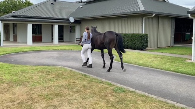 Lot 427