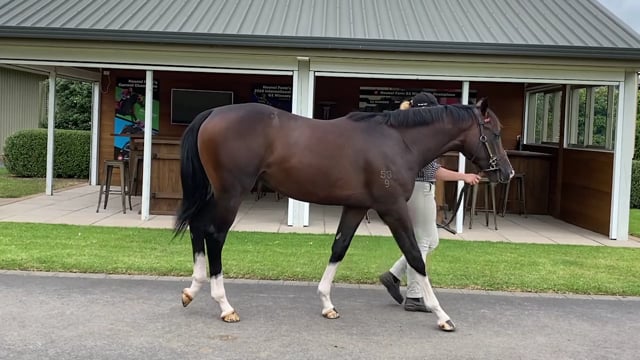 Lot 715