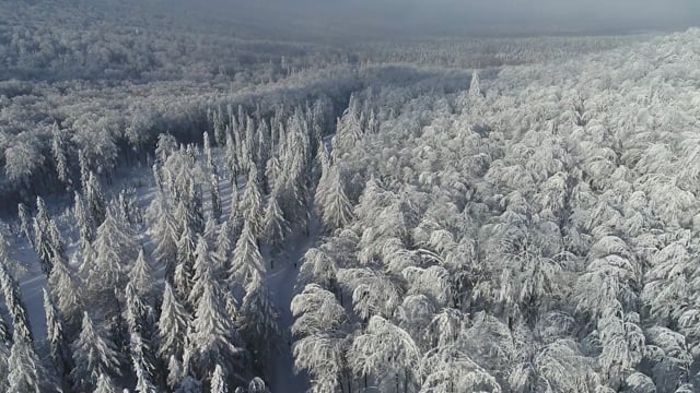 Видео Зима-лето, Спутник-3