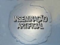 Inseminação Artificial