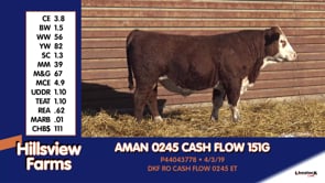 Lot #151G - AMAN 0245 CASH FLOW 151G