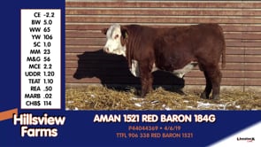 Lot #184G - AMAN 1521 RED BARON 184G