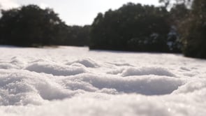 Snowfall in Waco 2021
