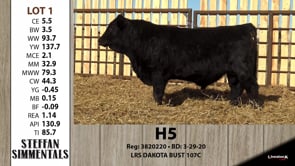 Lot #1 - H5