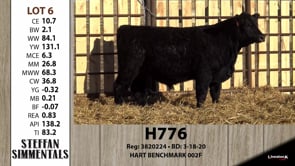 Lot #6 - H776