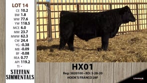 Lot #14 - HX01